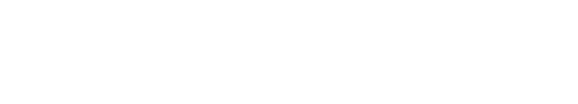 Virtual Hosting Services